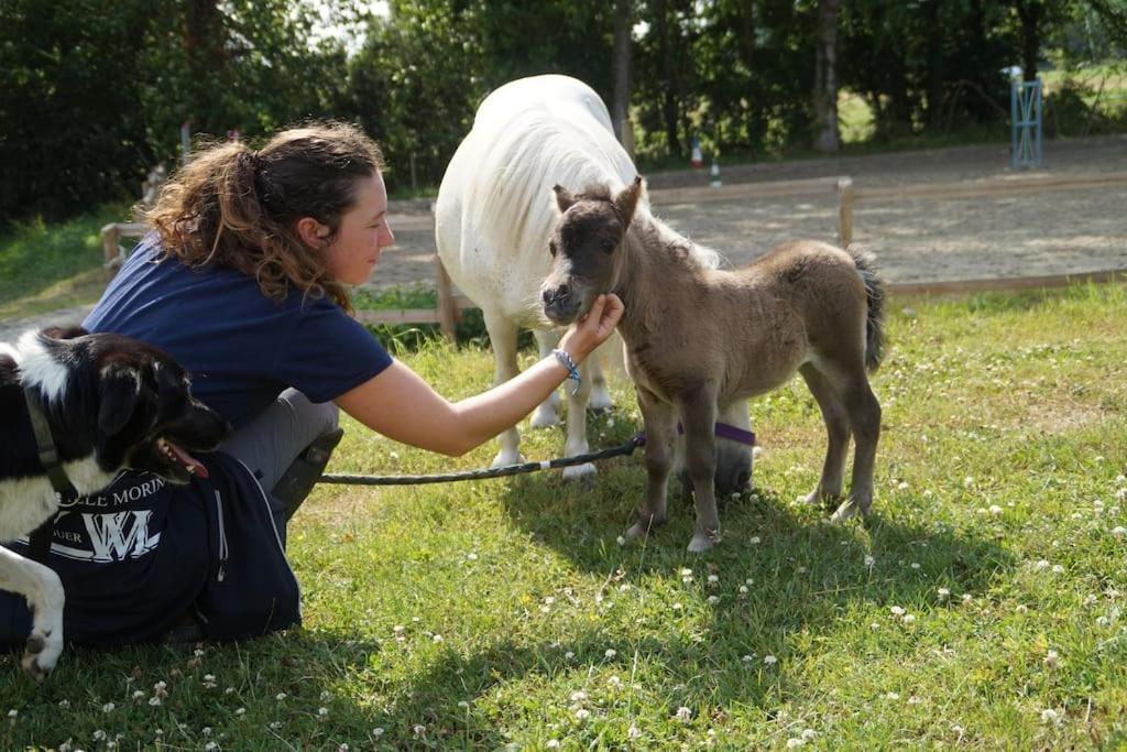 Gite Equestre Dans Centre Equestre Vers Saint Malo Plerguer Exterior foto